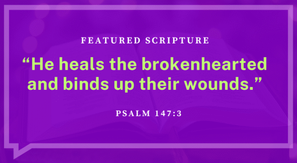 Dear Reader — This Is for You