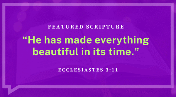 Healing Comes in Layers — Not All at Once